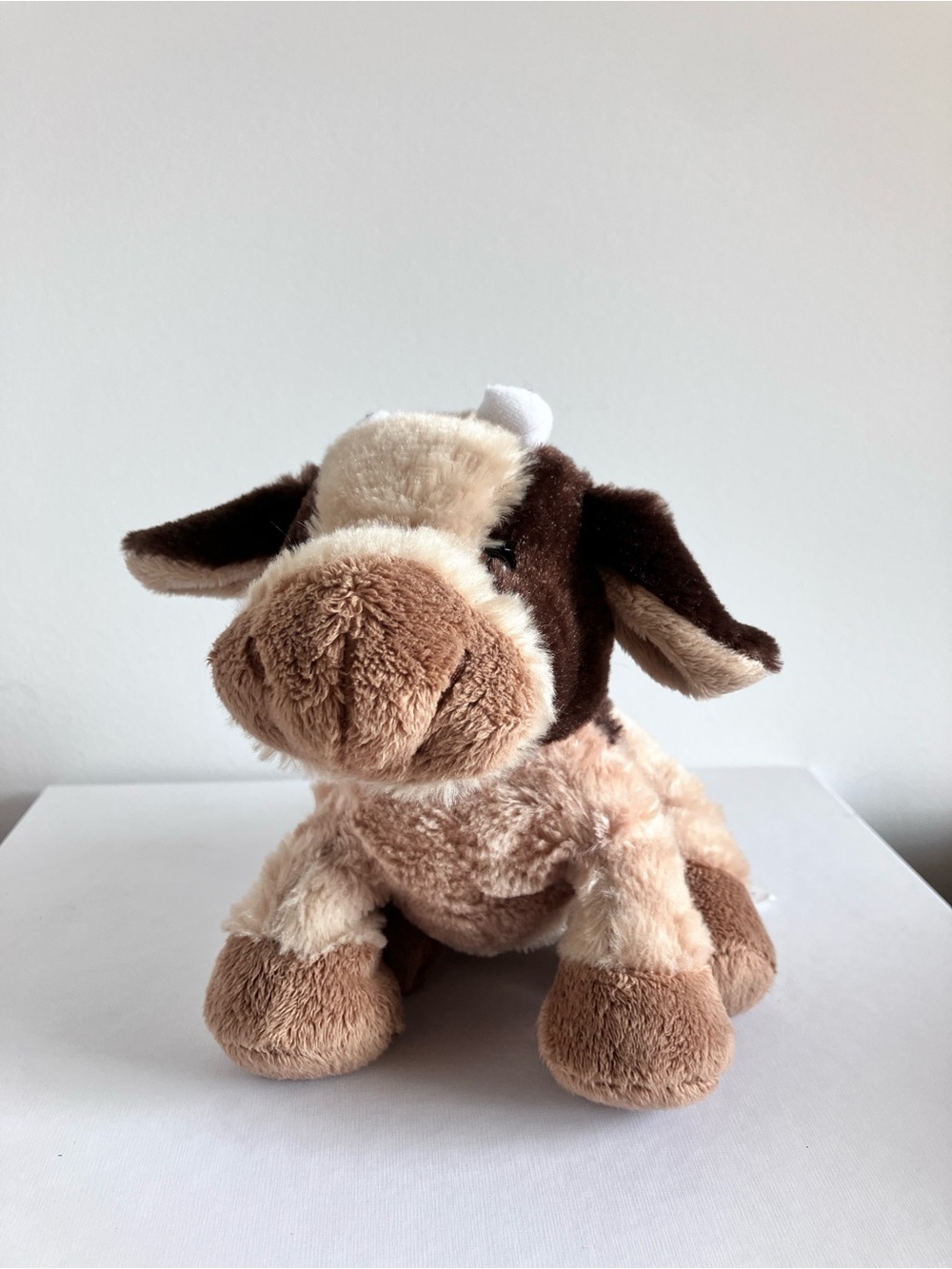 Webkinz Brown Cow